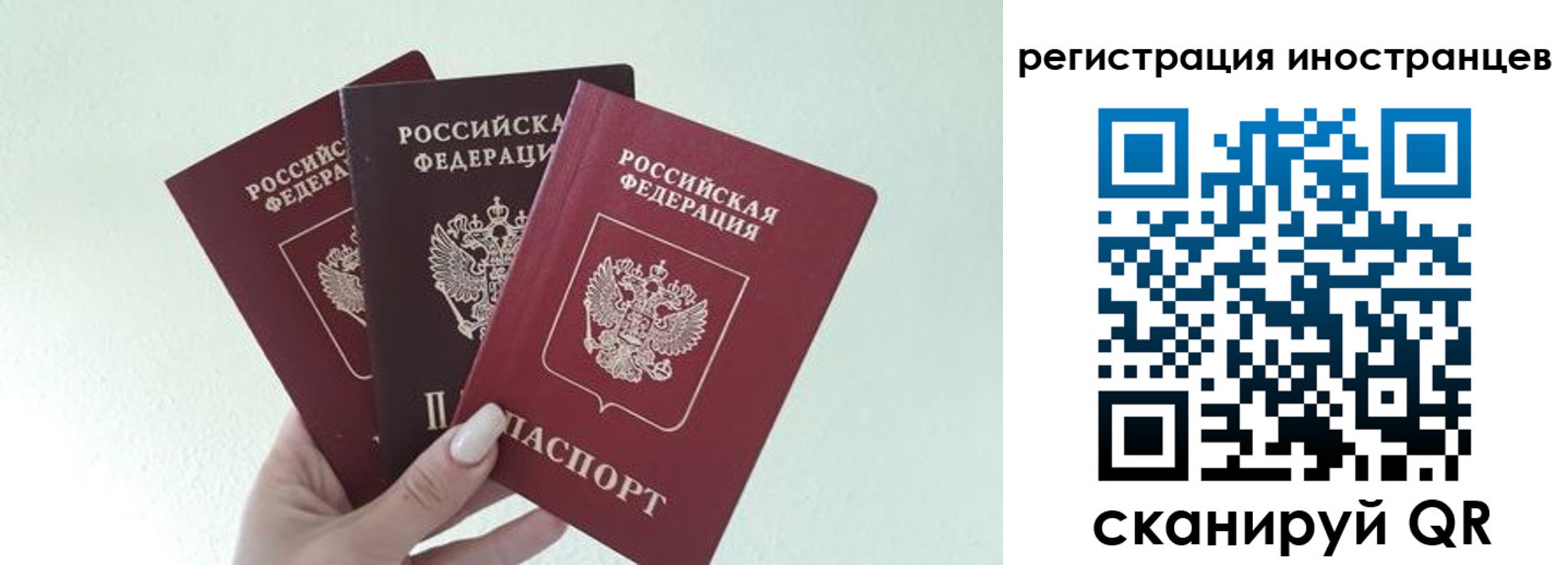 миграционный учет в Волосово